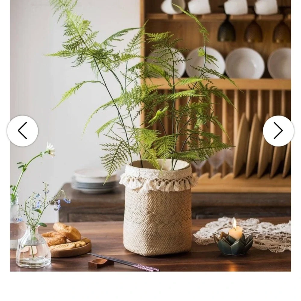 NWT Hearth&Hand Asparagus Fern Plant Stem 32